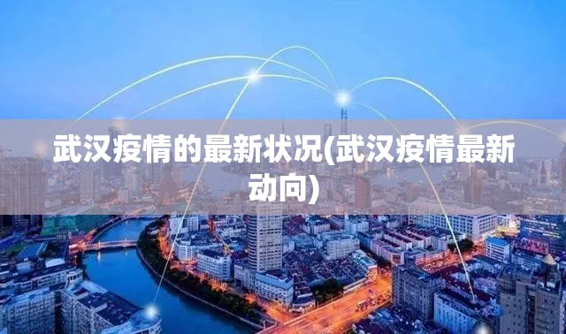 武汉疫情的最新状况(武汉疫情最新动向)