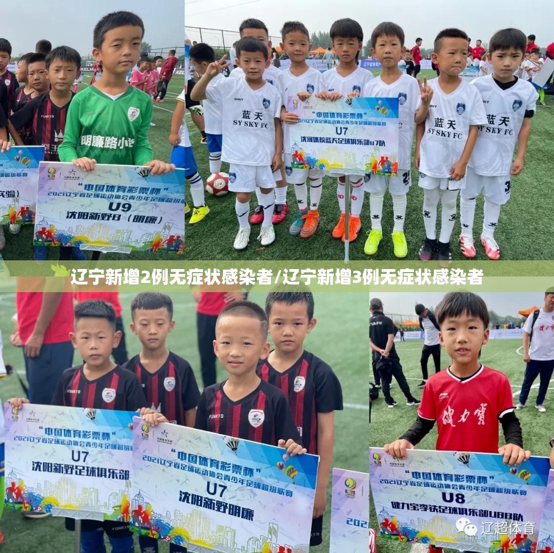 辽宁新增2例无症状感染者/辽宁新增3例无症状感染者 辽宁新增2例无症状感染者/辽宁新增3例无症状感染者