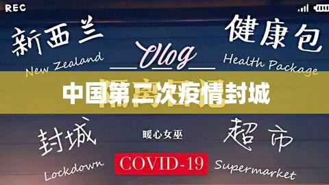 中国第二次疫情封城