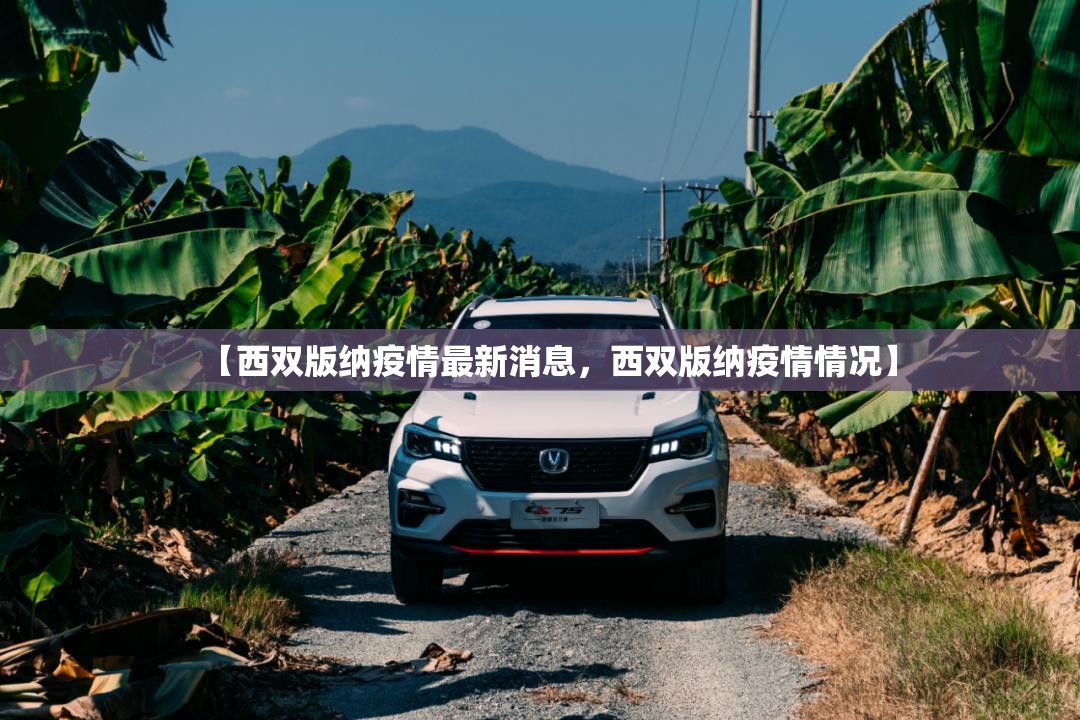 【西双版纳疫情最新消息，西双版纳疫情情况】