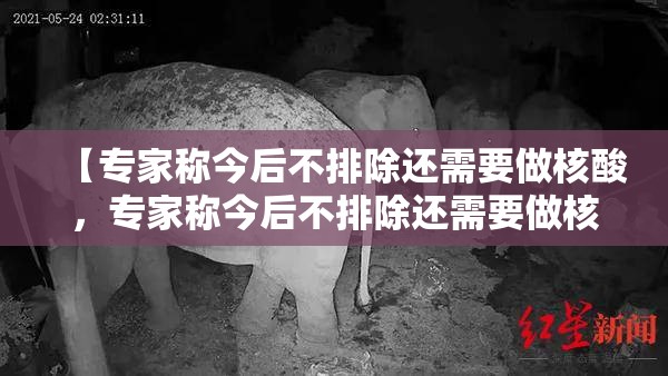 【专家称今后不排除还需要做核酸，专家称今后不排除还需要做核酸检测吗?】