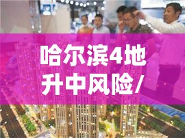 哈尔滨4地升中风险/哈尔滨增6个中高风险