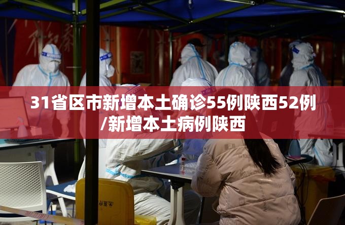 31省区市新增本土确诊55例陕西52例/新增本土病例陕西