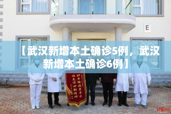 【武汉新增本土确诊5例，武汉新增本土确诊6例】