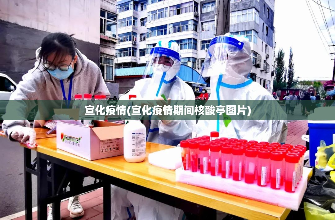 宣化疫情(宣化疫情期间核酸亭图片)