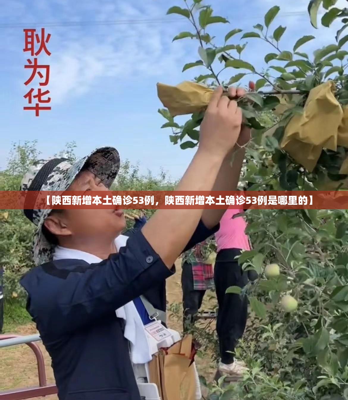 【陕西新增本土确诊53例，陕西新增本土确诊53例是哪里的】