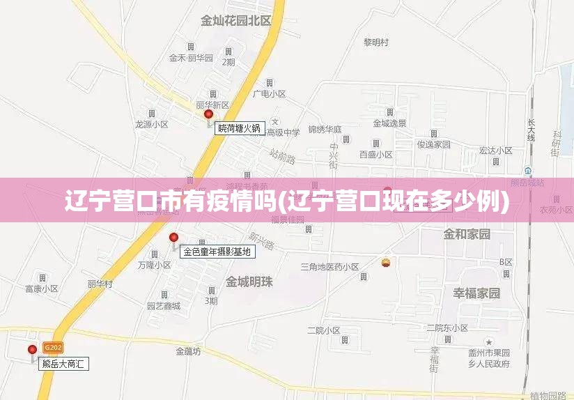 辽宁营口市有疫情吗(辽宁营口现在多少例)