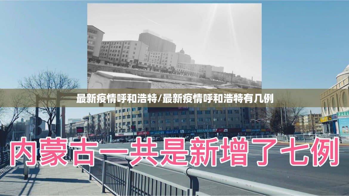 最新疫情呼和浩特/最新疫情呼和浩特有几例