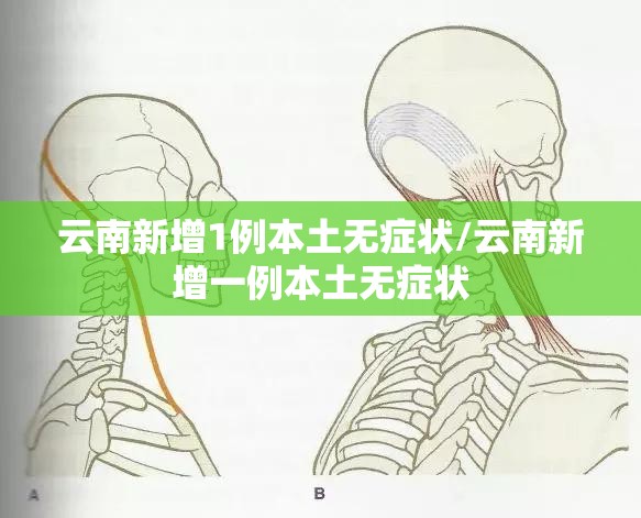 云南新增1例本土无症状/云南新增一例本土无症状