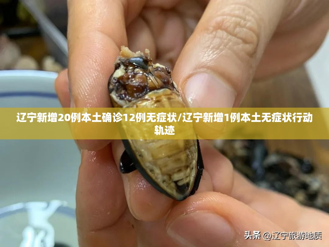 辽宁新增20例本土确诊12例无症状/辽宁新增1例本土无症状行动轨迹