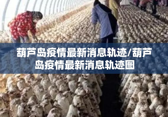 葫芦岛疫情最新消息轨迹/葫芦岛疫情最新消息轨迹图