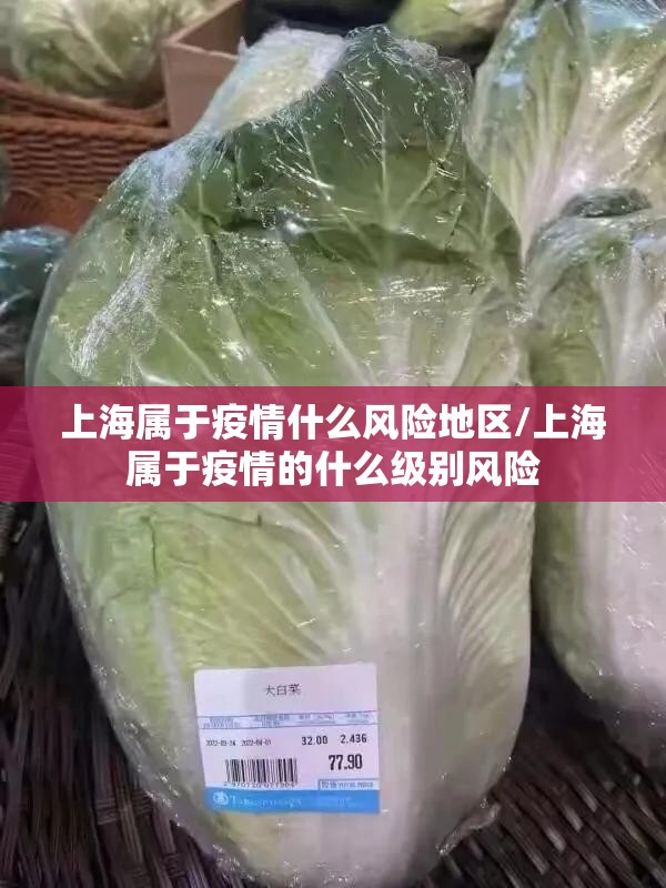 上海属于疫情什么风险地区/上海属于疫情的什么级别风险 上海属于疫情什么风险地区/上海属于疫情的什么级别风险