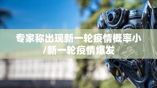 专家称出现新一轮疫情概率小/新一轮疫情爆发