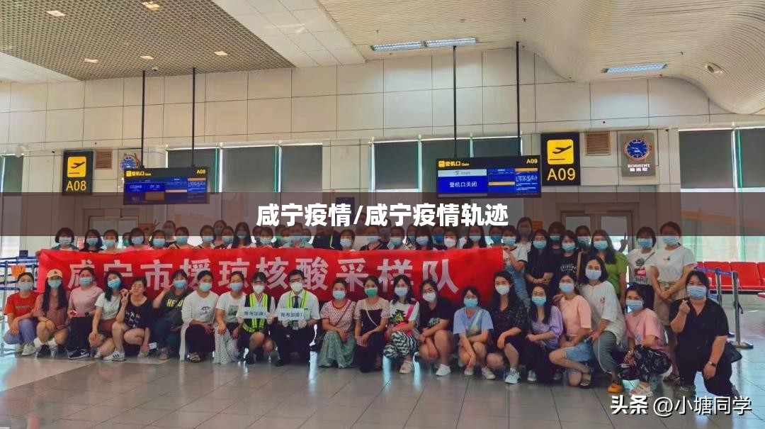 咸宁疫情/咸宁疫情轨迹