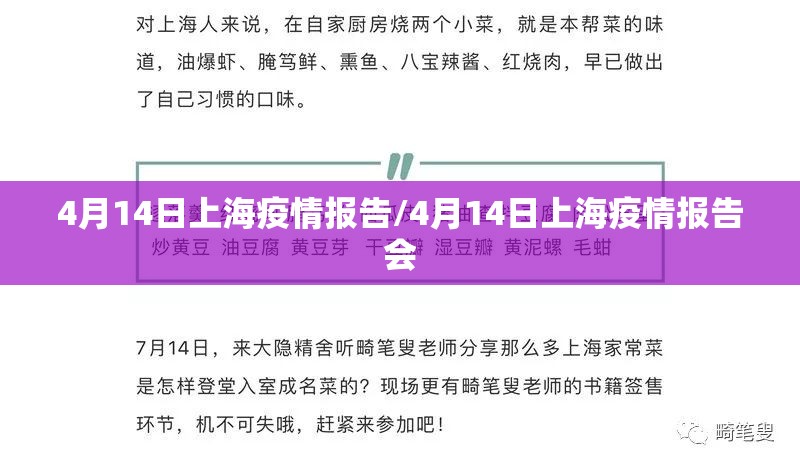 4月14日上海疫情报告/4月14日上海疫情报告会 4月14日上海疫情报告/4月14日上海疫情报告会