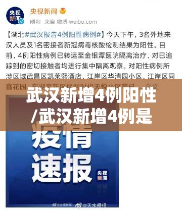 武汉新增4例阳性/武汉新增4例是哪里的