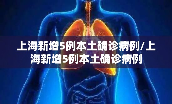 上海新增5例本土确诊病例/上海新增5例本土确诊病例