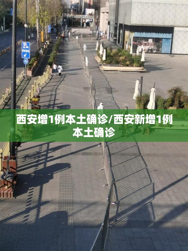 西安增1例本土确诊/西安新增1例本土确诊