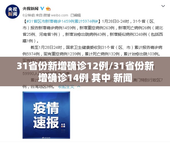 31省份新增确诊12例/31省份新增确诊14例 其中 新闻 31省份新增确诊12例/31省份新增确诊14例 其中 新闻