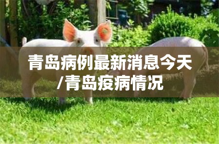 青岛病例最新消息今天/青岛疫病情况