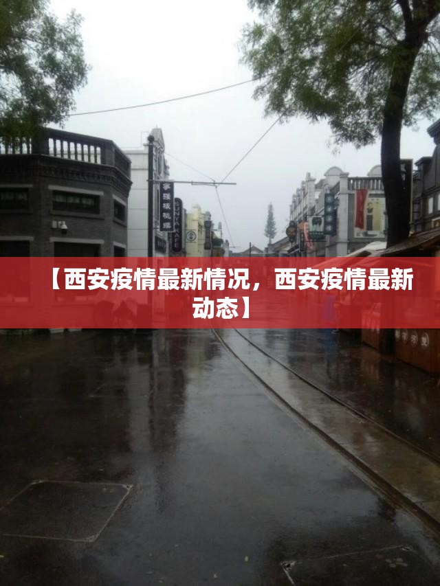 【西安疫情最新情况，西安疫情最新动态】