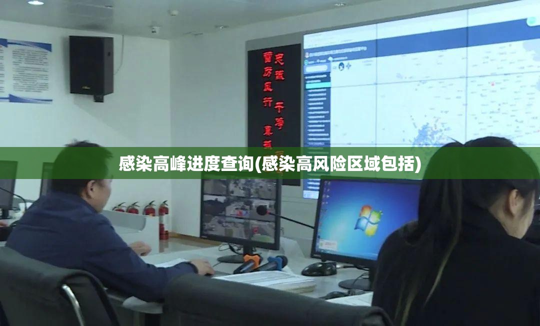 感染高峰进度查询(感染高风险区域包括)