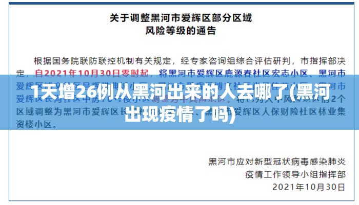 1天增26例从黑河出来的人去哪了(黑河出现疫情了吗)