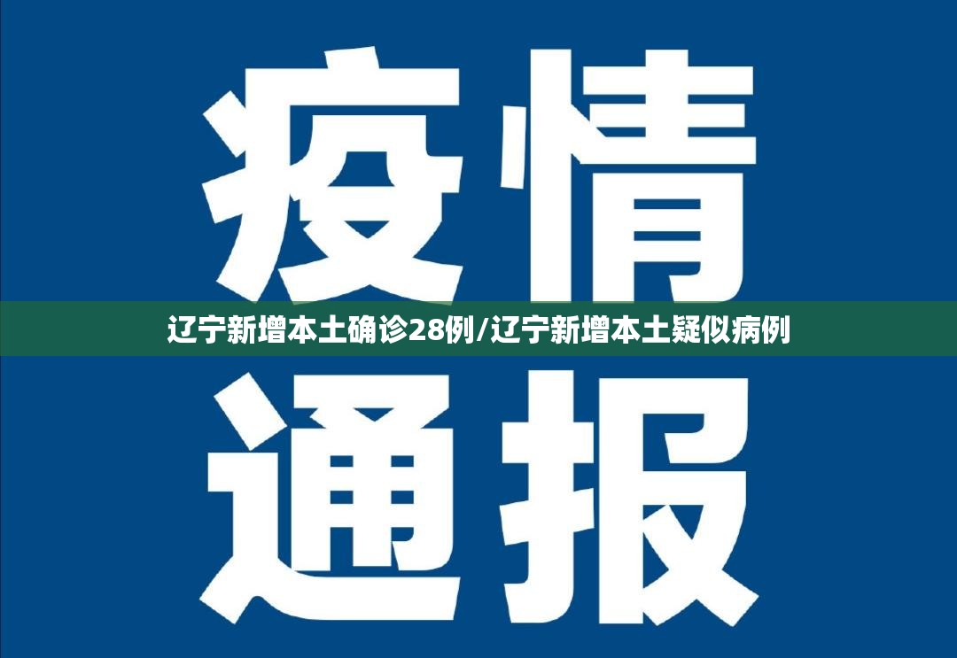 辽宁新增本土确诊28例/辽宁新增本土疑似病例