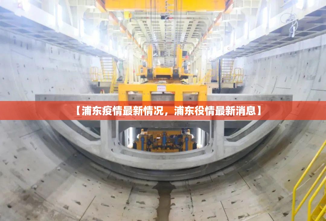【浦东疫情最新情况，浦东役情最新消息】