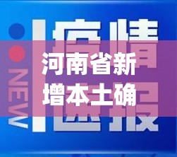 河南省新增本土确诊病例3例(河南省新增确诊病例1例)