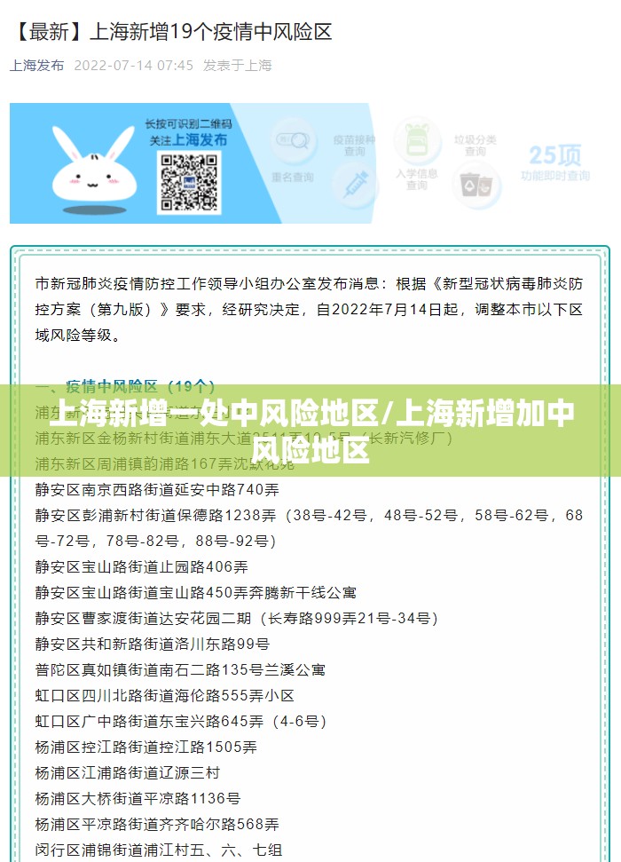上海新增一处中风险地区/上海新增加中风险地区
