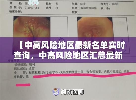 【中高风险地区最新名单实时查询，中高风险地区汇总最新】