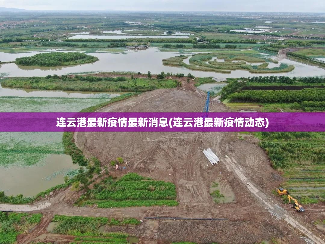 连云港最新疫情最新消息(连云港最新疫情动态)