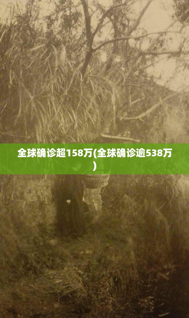 全球确诊超158万(全球确诊逾538万)