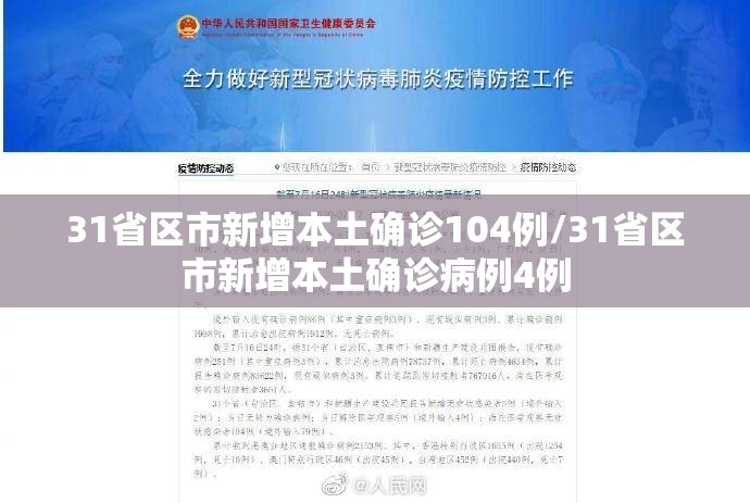 31省区市新增本土确诊104例/31省区市新增本土确诊病例4例