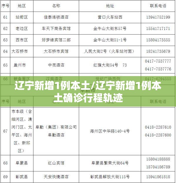 辽宁新增1例本土/辽宁新增1例本土确诊行程轨迹
