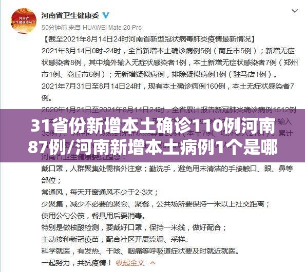 31省份新增本土确诊110例河南87例/河南新增本土病例1个是哪里的