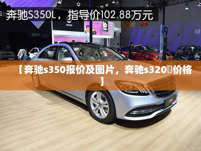 【奔驰s350报价及图片，奔驰s320乚价格】