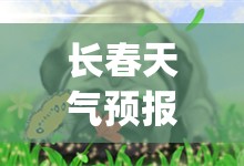 长春天气预报15天查询(沈阳天气预报15天查询最新消息)