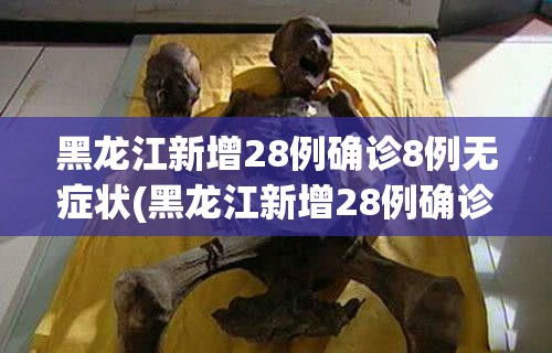 黑龙江新增28例确诊8例无症状(黑龙江新增28例确诊8例无症状是什么)