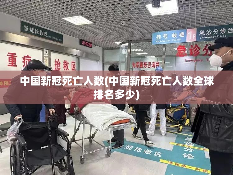 中国新冠死亡人数(中国新冠死亡人数全球排名多少)
