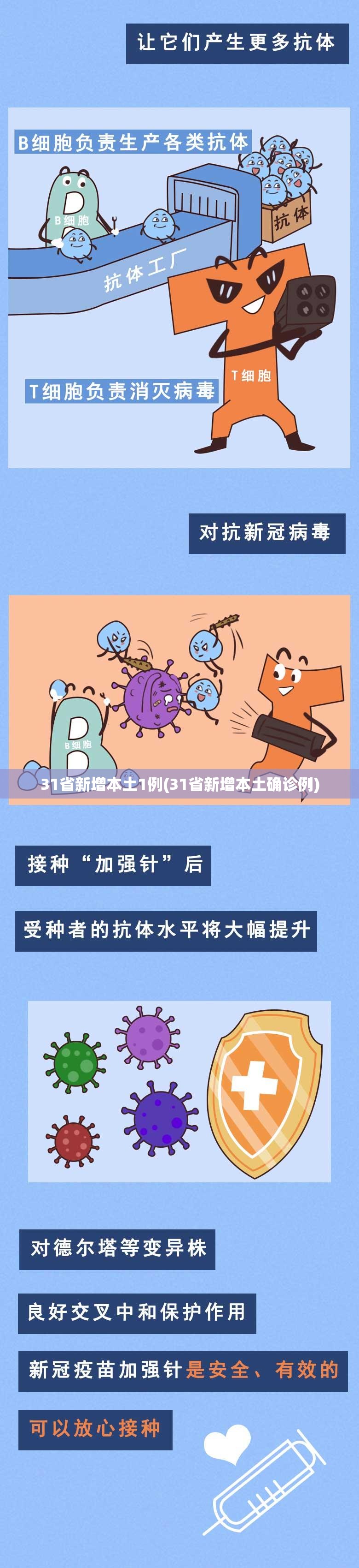 31省新增本土1例(31省新增本土确诊例)