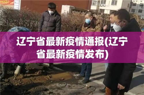 辽宁省最新疫情通报(辽宁省最新疫情发布)