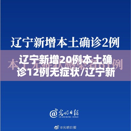 辽宁新增20例本土确诊12例无症状/辽宁新增2例本土病例3例无症状