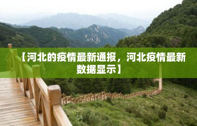 【河北的疫情最新通报，河北疫情最新数据显示】