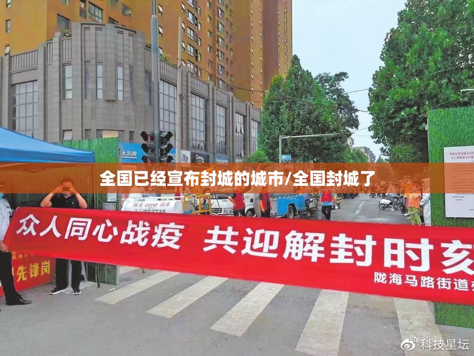 全国已经宣布封城的城市/全国封城了
