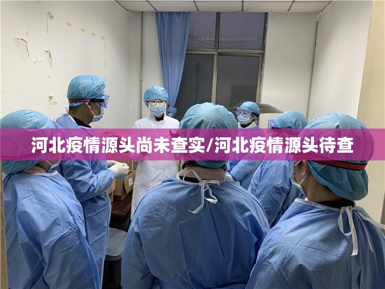河北疫情源头尚未查实/河北疫情源头待查