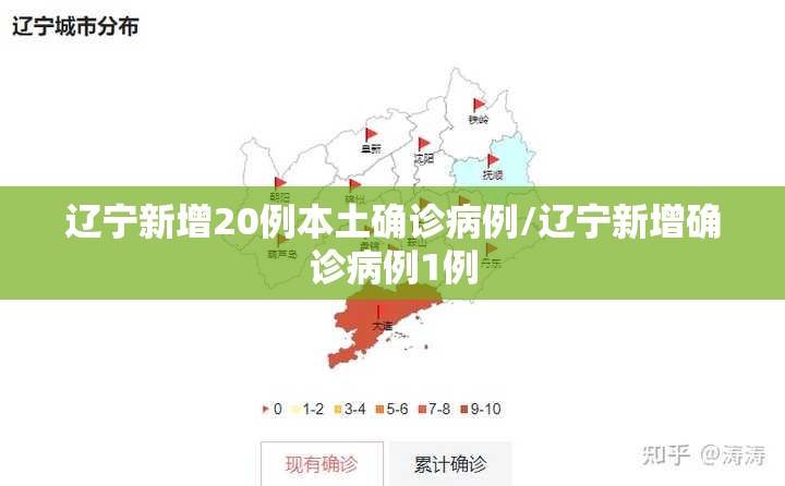 辽宁新增20例本土确诊病例/辽宁新增确诊病例1例
