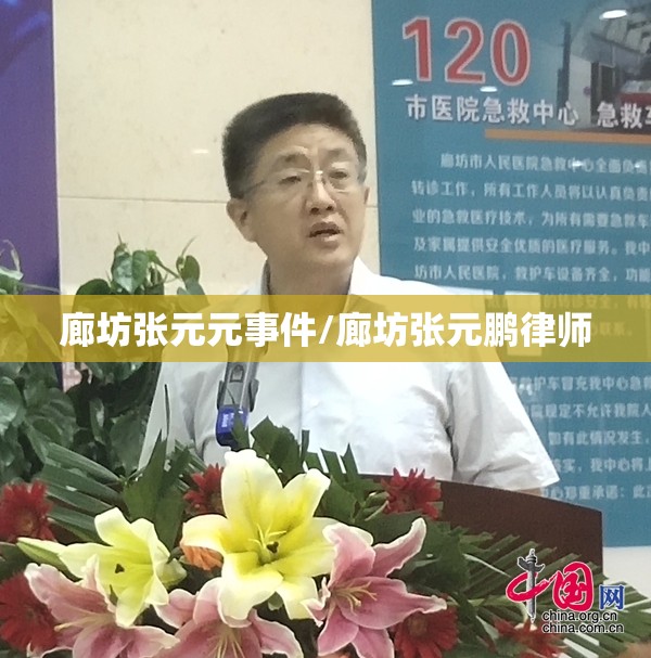 廊坊张元元事件/廊坊张元鹏律师