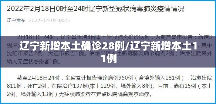 辽宁新增本土确诊28例/辽宁新增本土11例